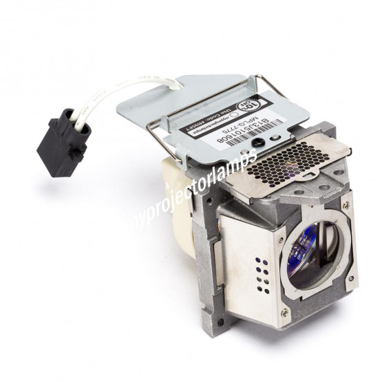 Bare Projector Lamp