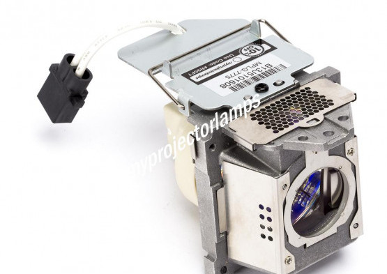 Benq TP4940-LAMP2 Bare Projector Lamp