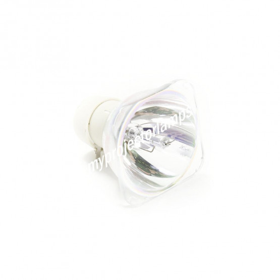 Bare Projector Lamp