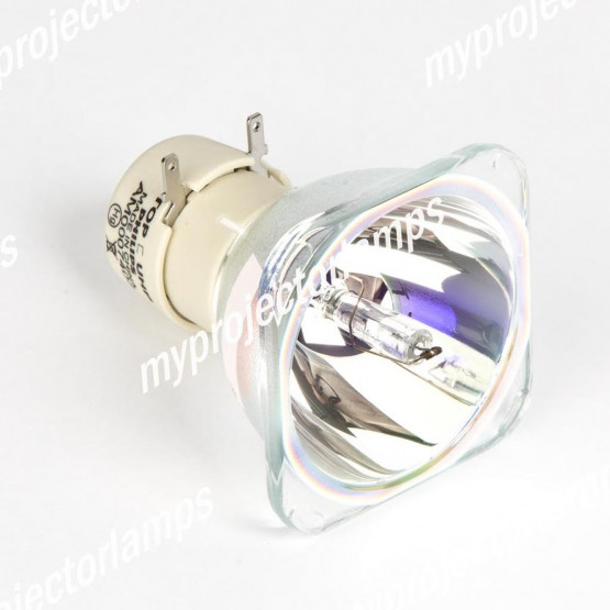 Bare Projector Lamp