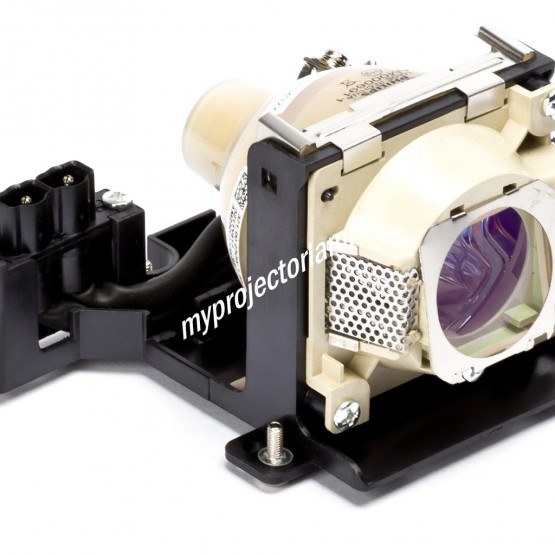 Bare Projector Lamp
