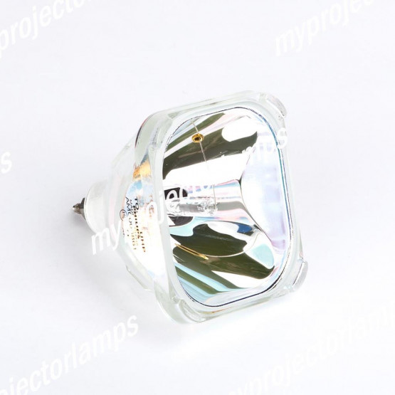 Sanyo 610 278 3896 Lampe de Projecteur Nue