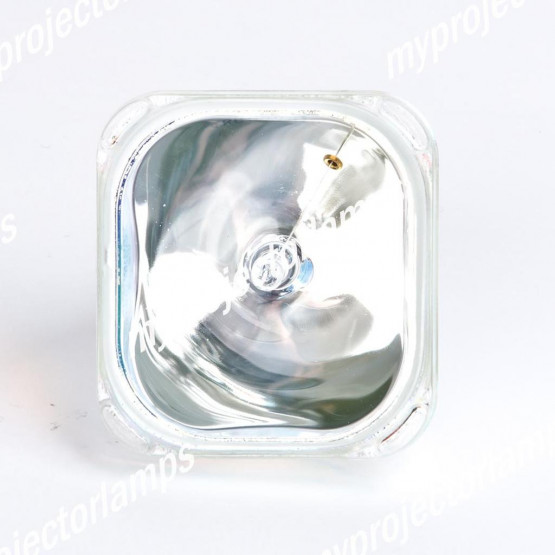 Sanyo 610 278 3896 Lampe de Projecteur Nue