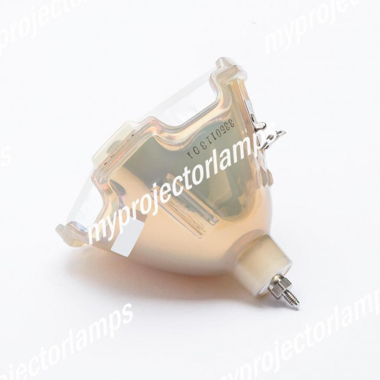 Bulbo/Foco para proyector Eiki LC-XT2D
