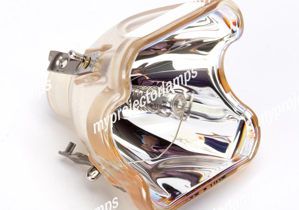EIKI LC-XB23C用 610-323-0726 対応 プロジェクター交換用ランプ