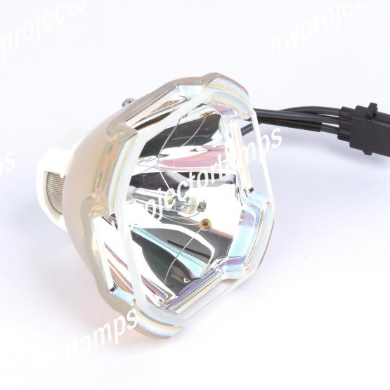 Bare Projector Lamp