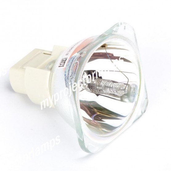 Bare Projector Lamp