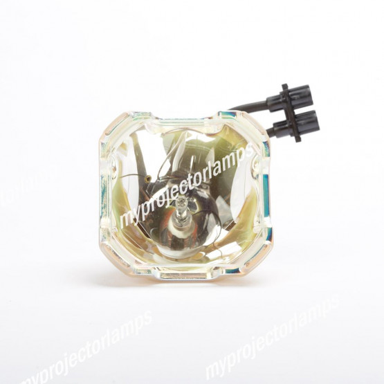 Digital Projection 456-9060 Bare Projector Lamp