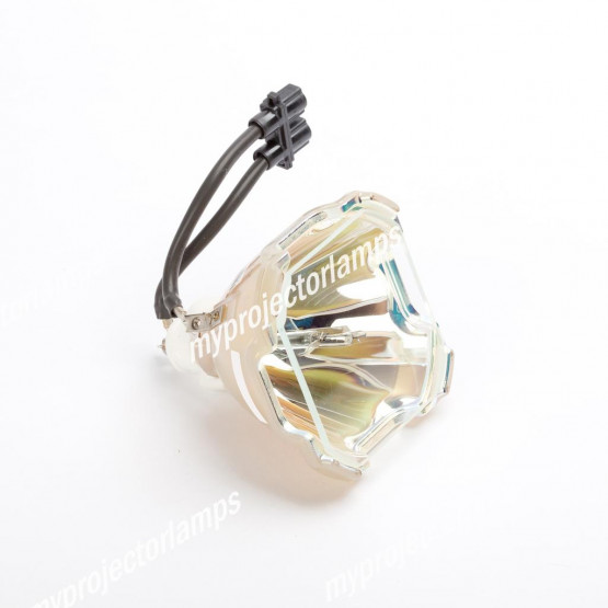 Digital Projection 456-9060 Bare Projector Lamp