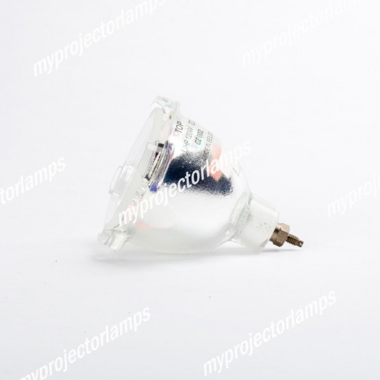 Bare Projector Lamp