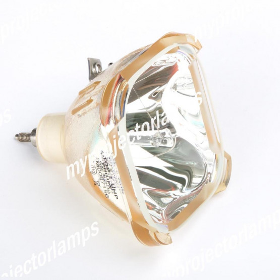 Bare Projector Lamp