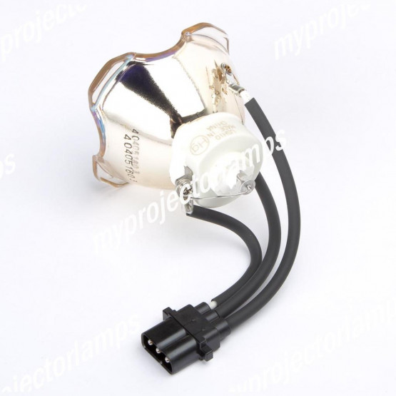 Bare Projector Lamp