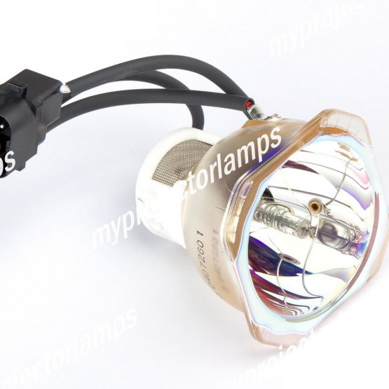 NEC LT60LPK Bare Projector Lamp