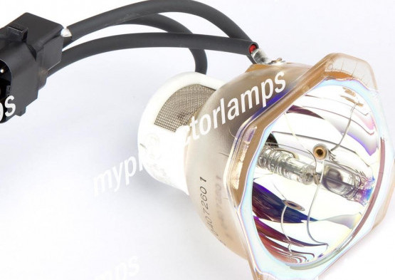 NEC LT60LPK Bare Projector Lamp