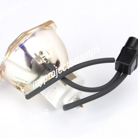 NEC LT60LPK Bare Projector Lamp