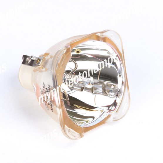 Bare Projector Lamp