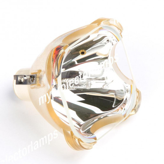 Bare Projector Lamp