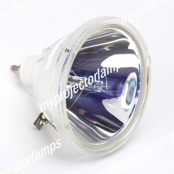 Bare Projector Lamp