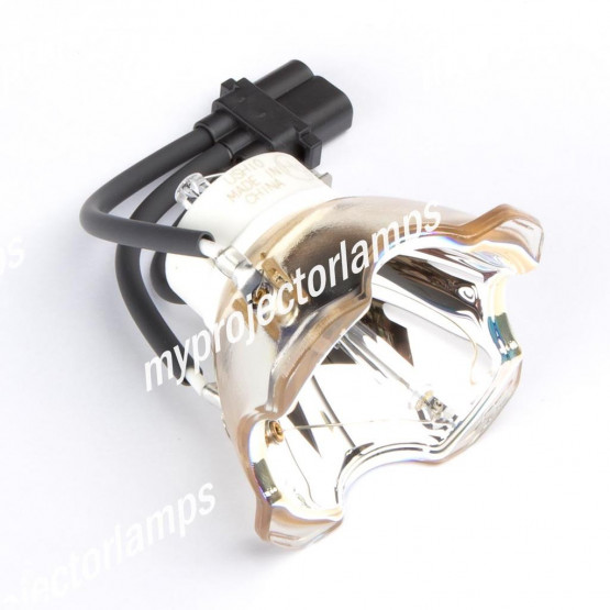Viewsonic RLC-044 Bare Projector Lamp