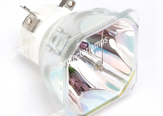 Viewsonic RLC-045 Bare Projector Lamp