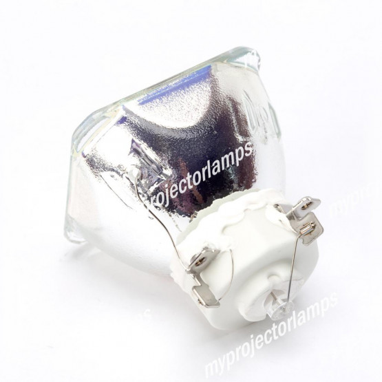 Viewsonic RLC-045 Bare Projector Lamp