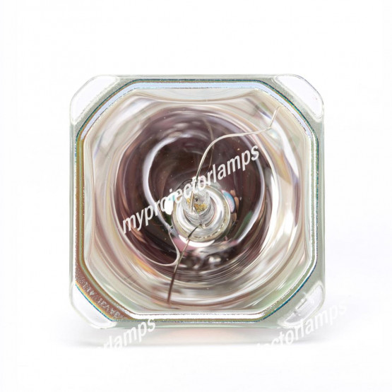 Viewsonic RLC-045 Bare Projector Lamp