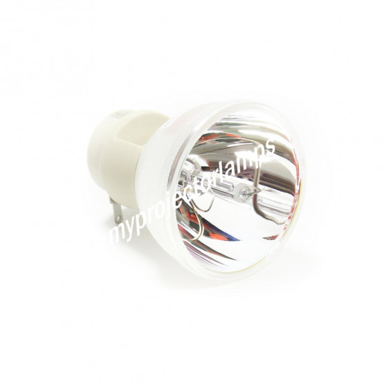 Bare Projector Lamp