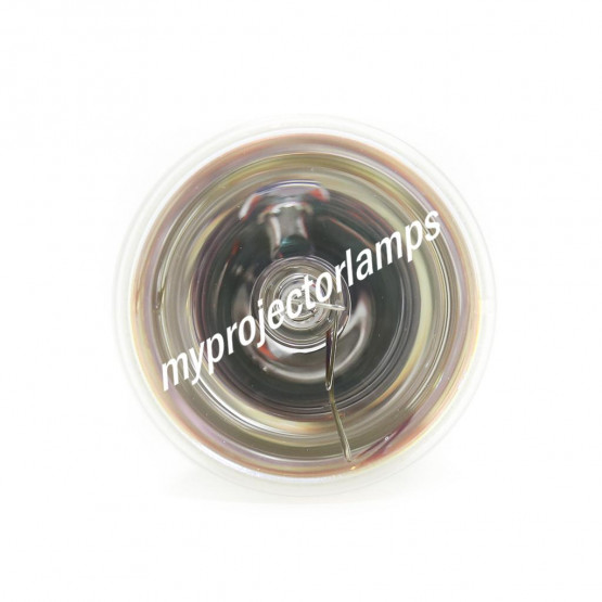 Viewsonic PRO8450W Bare Projector Lamp
