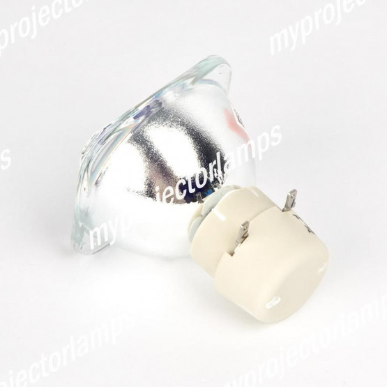 Infocus IN2102 Bare Projector Lamp