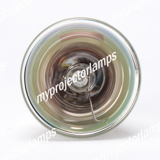 Infocus IN8602 Bare Projector Lamp