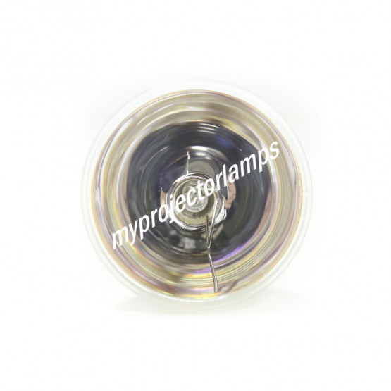 Infocus IN114x Bare Projector Lamp