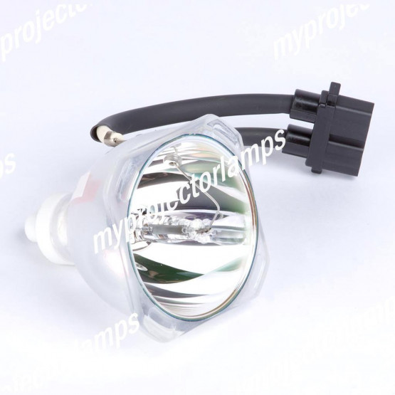 Optoma BL-FU200B Bare Projector Lamp