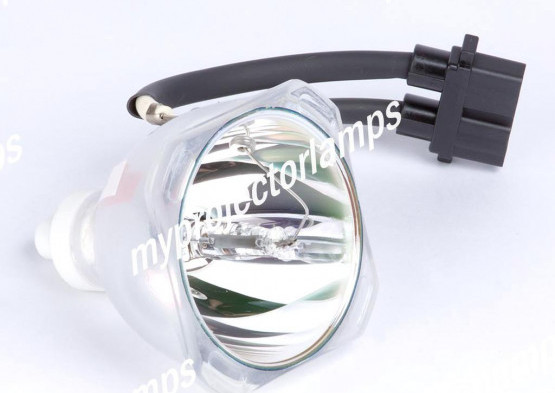 Optoma BL-FU200B Bare Projector Lamp