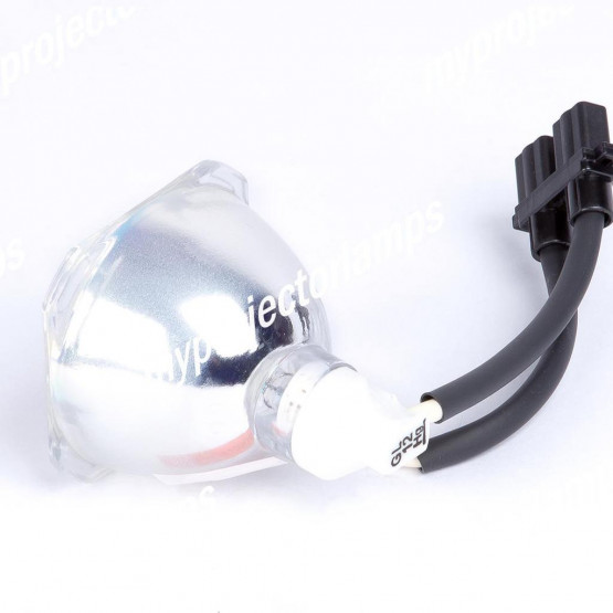 Optoma BL-FU200B Bare Projector Lamp