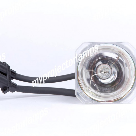 Optoma BL-FU200B Bare Projector Lamp