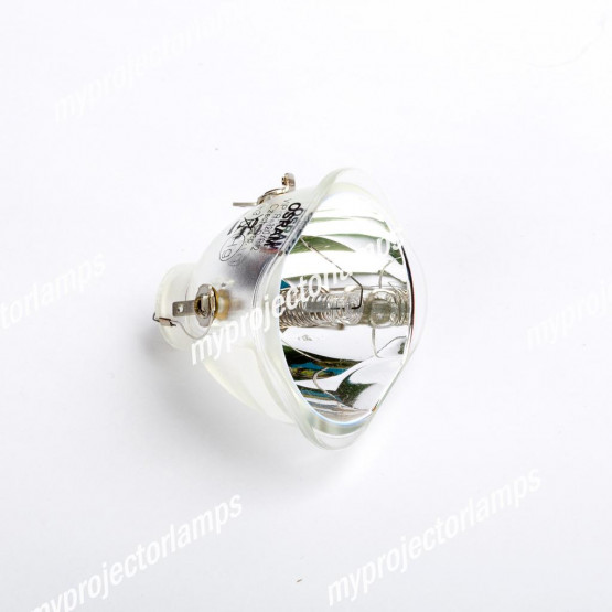 Acer BL-FP120C Bare Projector Lamp