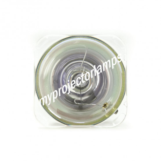 Bulbo/Foco para proyector Optoma SP.8BB01GC01