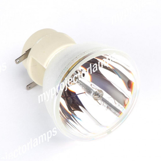 Bare Projector Lamp