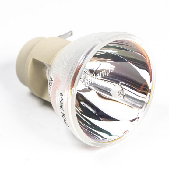 Bare Projector Lamp