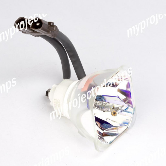 Bare Projector Lamp