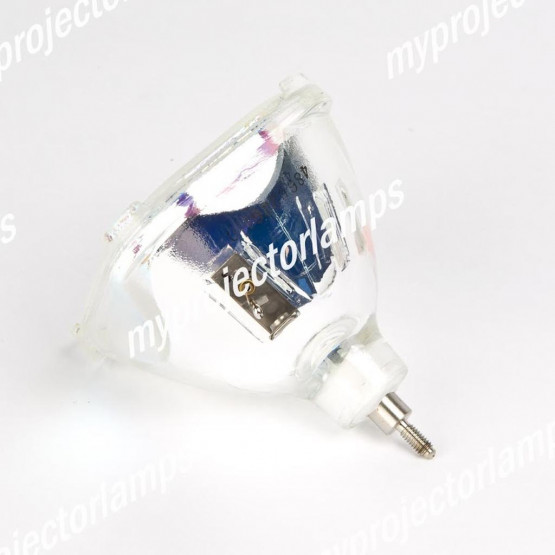 Polaroid PV238 Bare Projector Lamp
