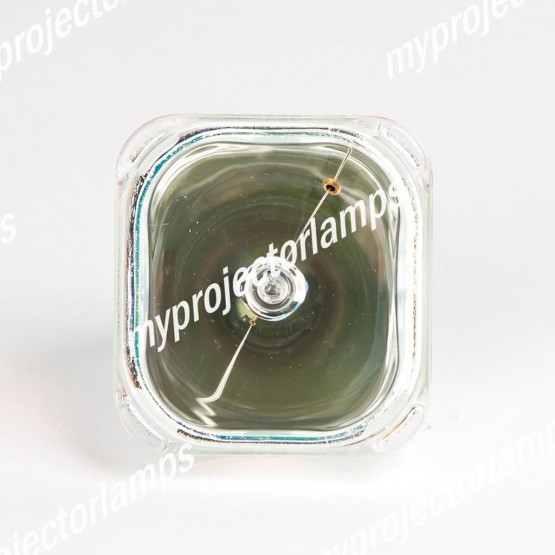 Polaroid PV238 Bare Projector Lamp