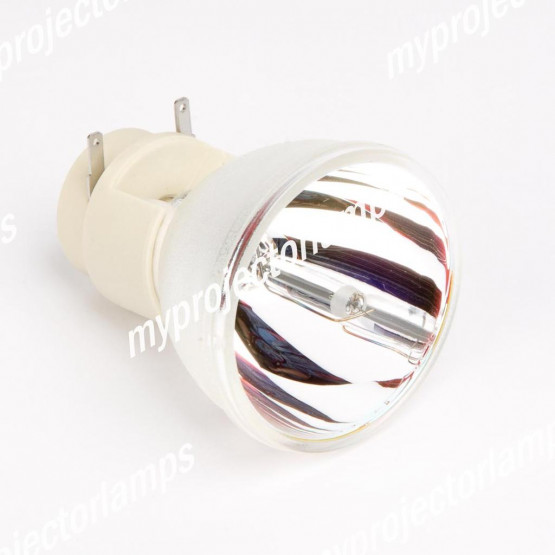 Bare Projector Lamp
