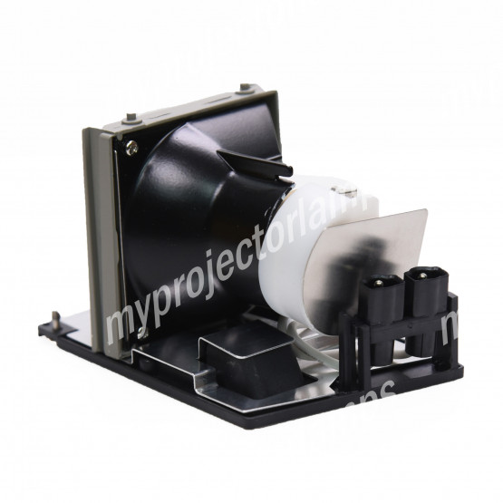 Acer EC.J3001.001 Projector Lamp with Module