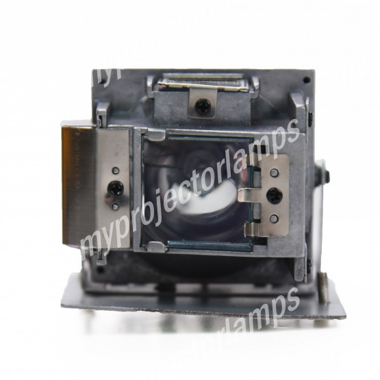 Optoma DS512 Projector Lamp with Module