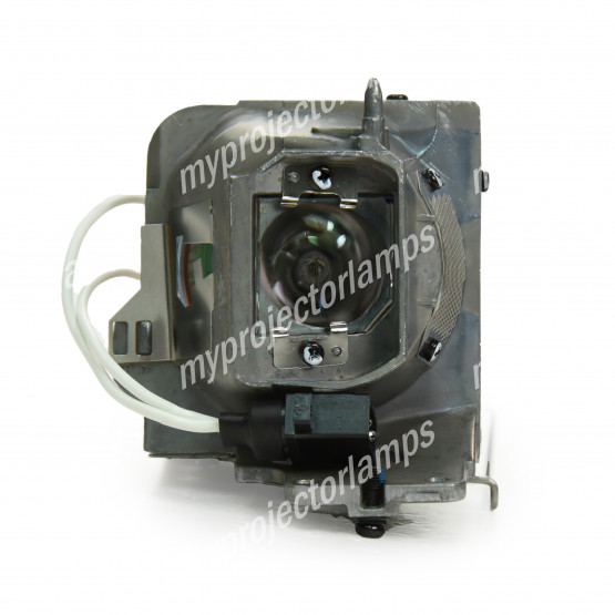 Optoma W308STe Projector Lamp with Module