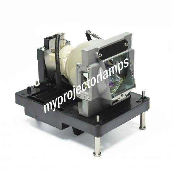 Eiki EIP-UHS100 Projector Lamp with Module
