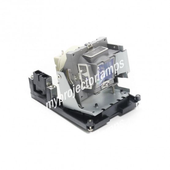 Eiki EIP-X5500 Projector Lamp with Module