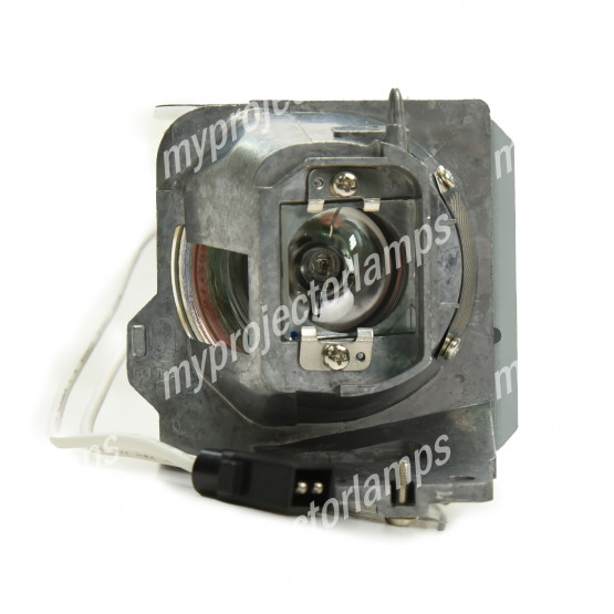 Infocus IN119HDG Projector Lamp with Module