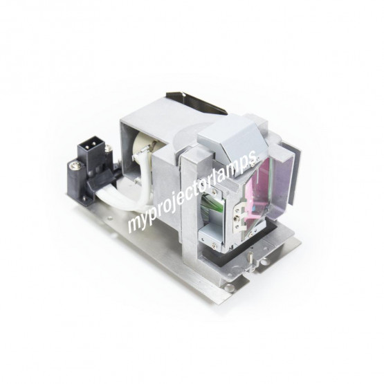 Benq 5J.JD305.001 Projector Lamp with Module